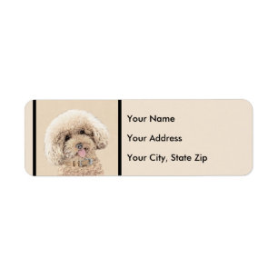 Pudel Ministern Leksak Apricot Cream Brown Hund Ar Returadress Etikett
