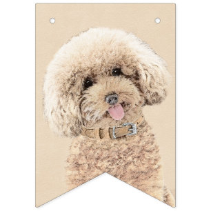 Pudel Ministern Leksak Apricot Cream Brown Hund Ar Vimplar