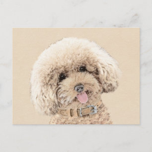 Pudel Ministern Leksak Apricot Cream Brown Hund Ar Vykort