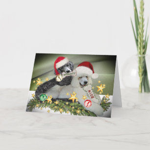 Pudel: "Naughty or Nice" - julkort Helgkort