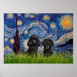 Pudel Pair (svart) - Stjärnighet Poster