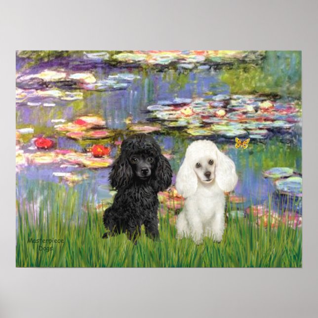 Pudel Pair (svartvitt) - Lilies 2 Poster (Framsidan)