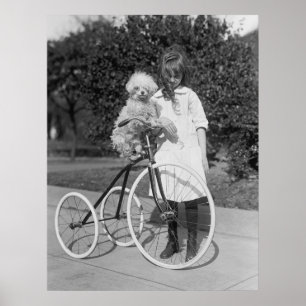 Pudel Perch, 1913 Poster