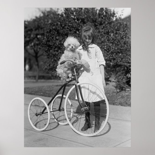 Pudel Perch, 1913 Poster (Framsidan)