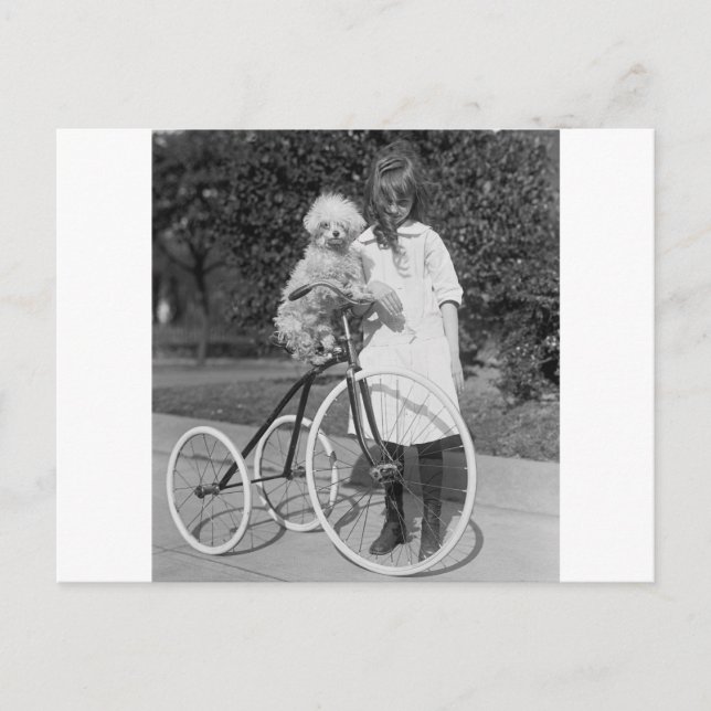 Pudel Perch, 1913 Vykort (Framsida)