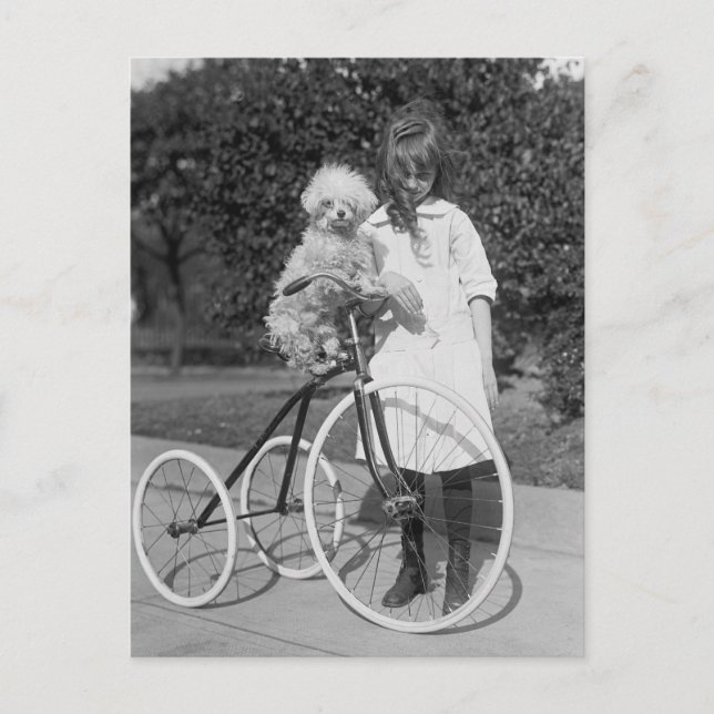 Pudel Perch, 1913 Vykort (Framsida)