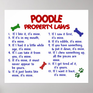 PUDEL PL2 POSTER