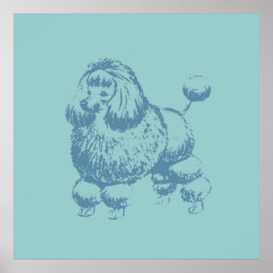Pudel Poster