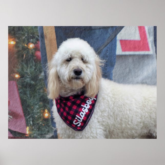 Pudel Poster (Framsidan)