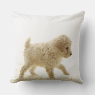 Pudel Puppy Kudde