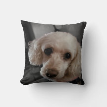 Pudel Puppy Pillow