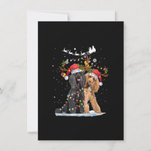 Pudel Reindeer Santa Hat Julafton Ljus jul Xm Inbjudningar