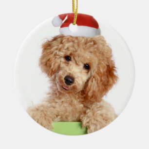 Pudel Santa Ceramic Ornament