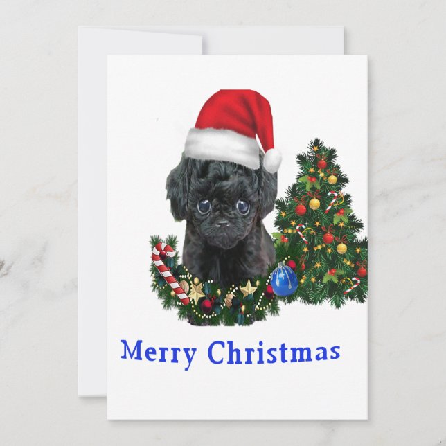 Pudel sött hund julkort (Framsida)