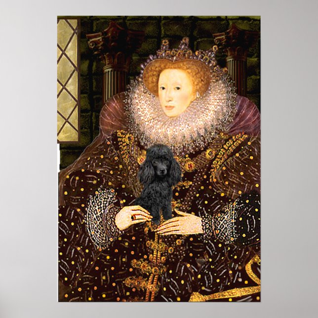 Pudel (svart 1) - drottning poster (Framsidan)