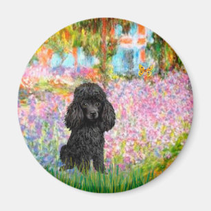 Pudel (svart 1) - Garden Magnet