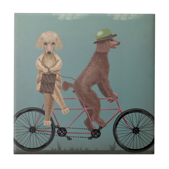 Pudel Tandem Kakelplatta (Framsidan)