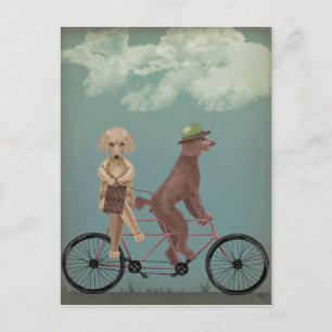 Pudel Tandem Vykort