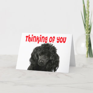 Pudel tänker på er Hej Miss You Puppy Hund Kort