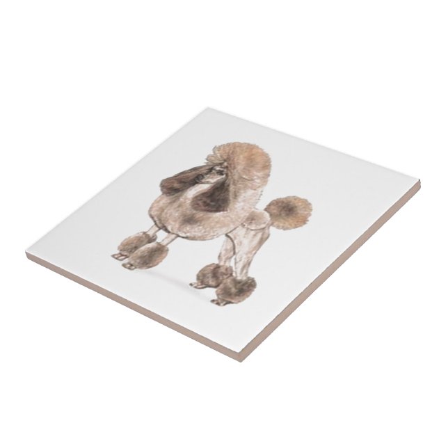 Pudel - Visa Jacka Kakelplatta (Sidan)