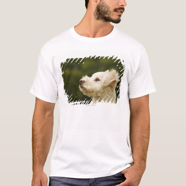 Pudel (vit) 2 tee shirt (Framsida)
