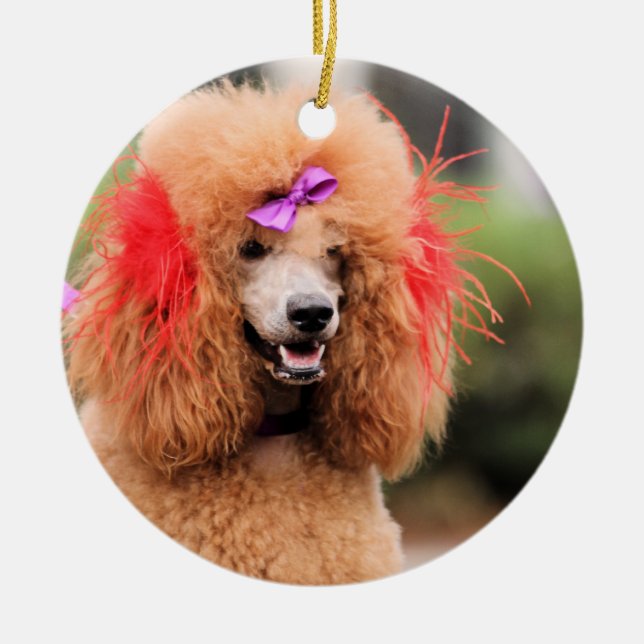 Pudeldag 2010 #1 julgransprydnad keramik (Framsidan)