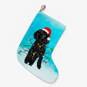 Pudelhundsitta i snö med Santa hattljus Liten Julstrumpa