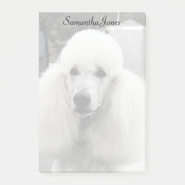 Pudeln som hunden postar den, noterar post-it block (Framsida)