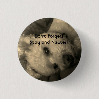 Pudeln Spay, och neutrumpromoen knäppas Knapp