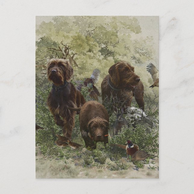 Pudelpekare Vykort (Framsida)