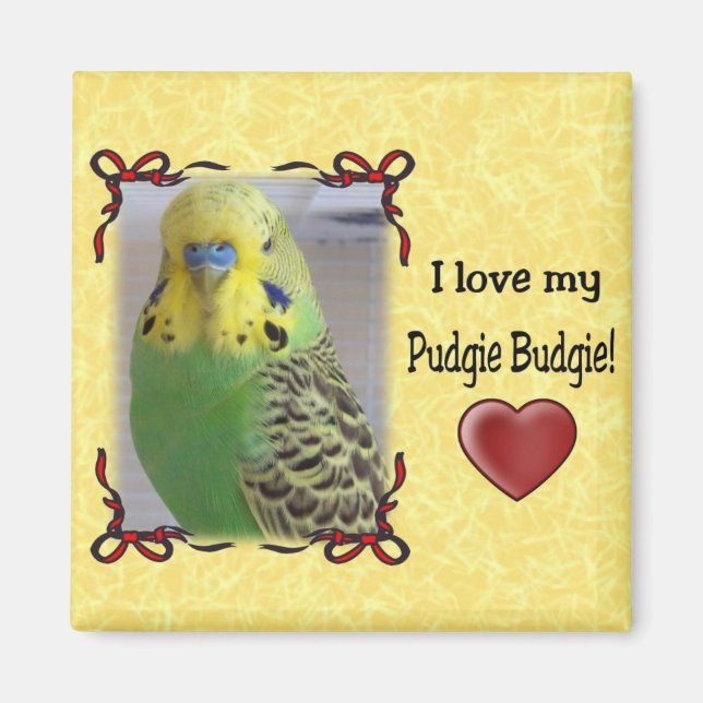 Pudgie Budgie 3 Magnet (Framsidan)