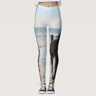 Pudlar härskar damasker leggings