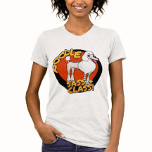 Pudlar - sassen & klassificerar