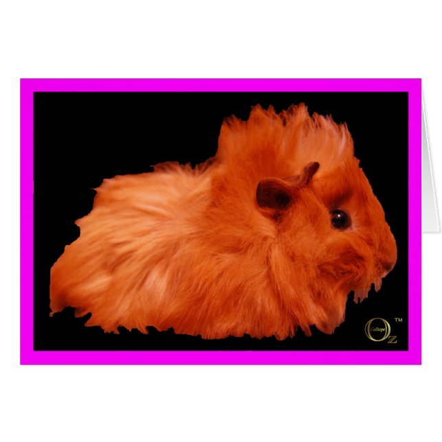 Pudra puffen hälsningskort (Framsidan Horizontal)