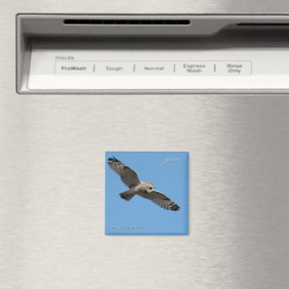 Pueo Hawaiiansk Uggla Magnet