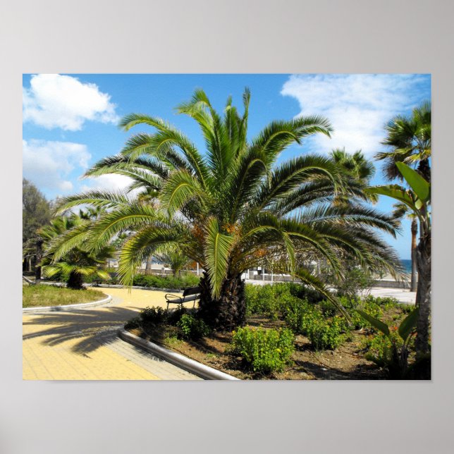 Puerto Banus trädgårdar Poster (Framsidan)
