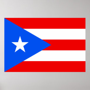 Puerto Rican Flagga (Puerto Rico) Poster