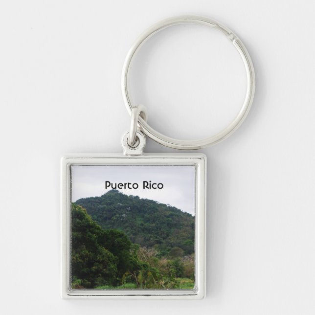 Puerto Rican Rainforest Fyrkantig Silverfärgad Nyckelring (Framsidan)