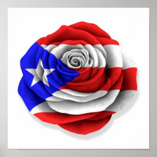 Puerto Rican Ro Flagga on White Poster