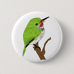 Puerto Rican Tody Knapp
