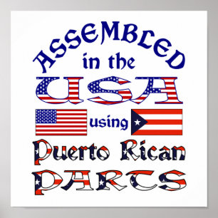 Puerto Ricanska Delar Poster
