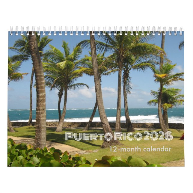 Puerto Rico 12 Months Calendar 2026 Kalender (Omslag)