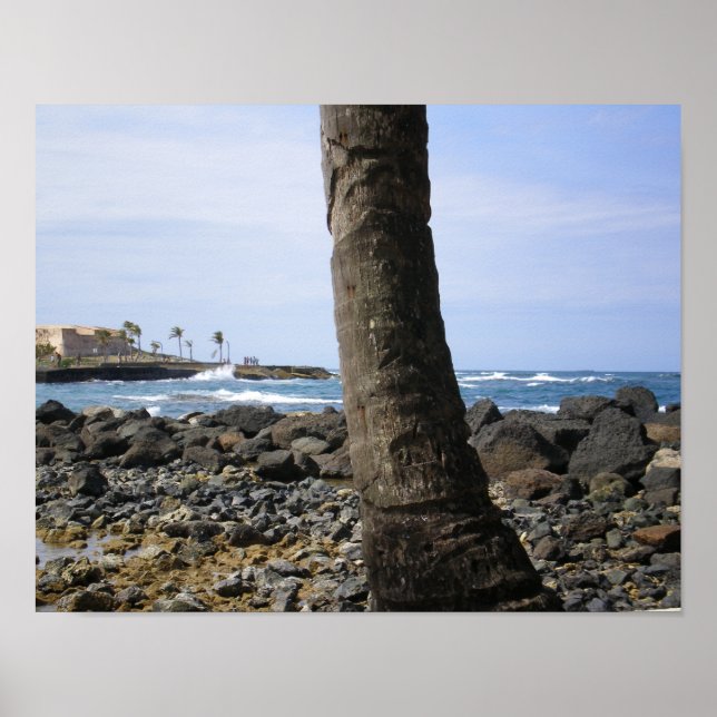 Puerto Rico Beach by RZB Poster (Framsidan)