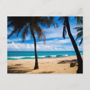 Puerto Rico - Condado Beach Vykort