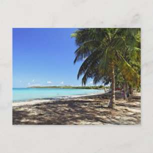 Puerto Rico, Fajardo, Culebra Island, Sju hav Vykort