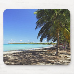 Puerto Rico Fajardo, Culebra ö, sju hav Musmatta