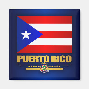 Puerto Rico Flagga Magnet