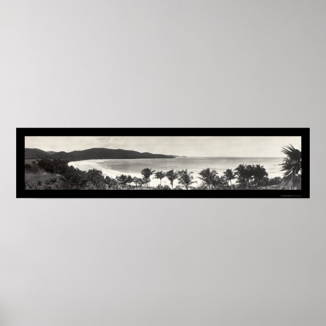 Puerto Rico Flamingo Photo 1914 Poster (Framsidan)