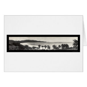 Puerto Rico Flamingofoto 1914 Hälsningskort