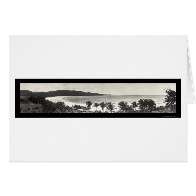 Puerto Rico Flamingofoto 1914 Hälsningskort (Framsidan Horizontal)